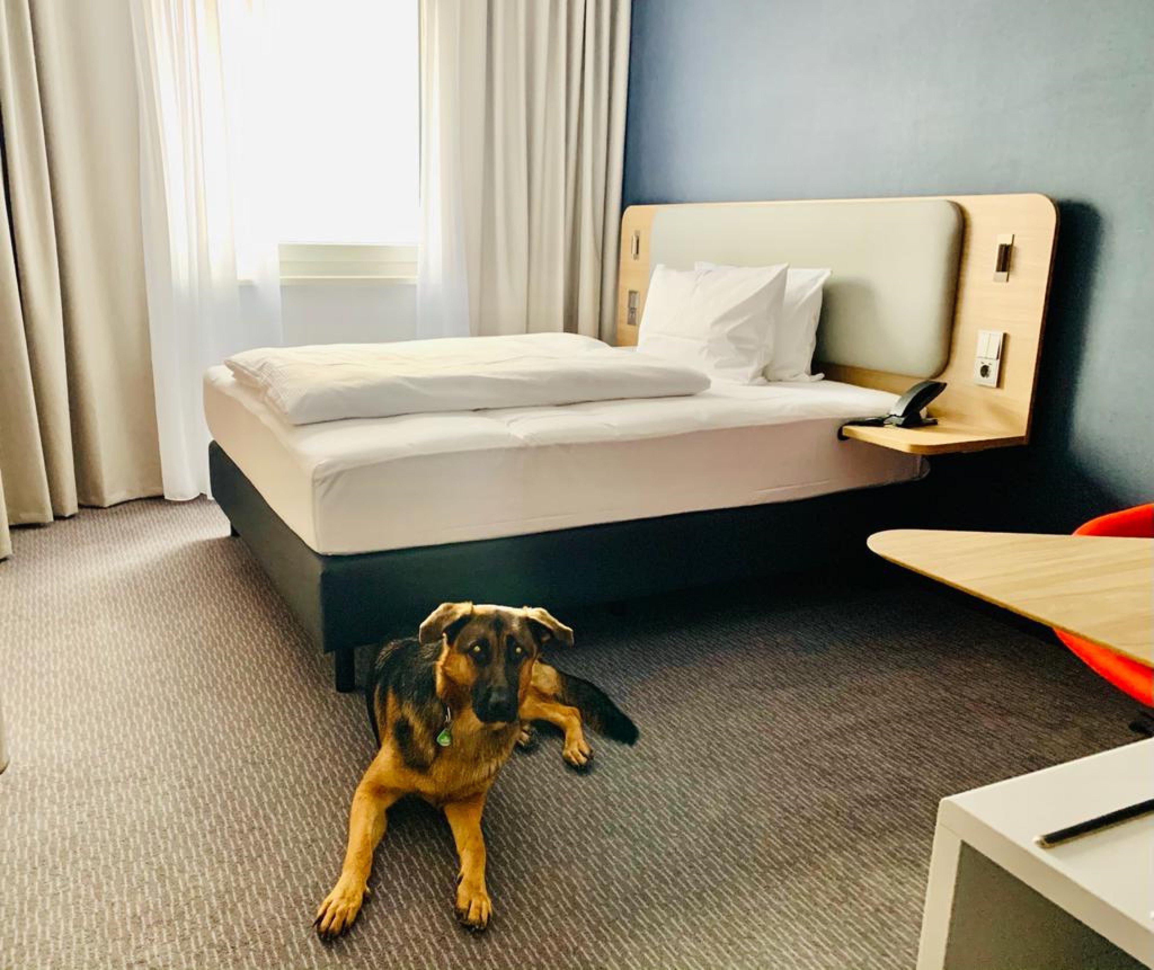 Holiday Inn Express Munich - Olching By Ihg Zewnętrze zdjęcie